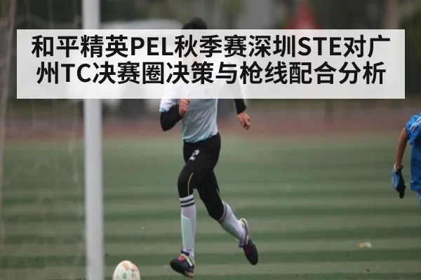 和平精英PEL秋季赛深圳STE对广州TC决赛圈决策与枪线配合分析 - hth